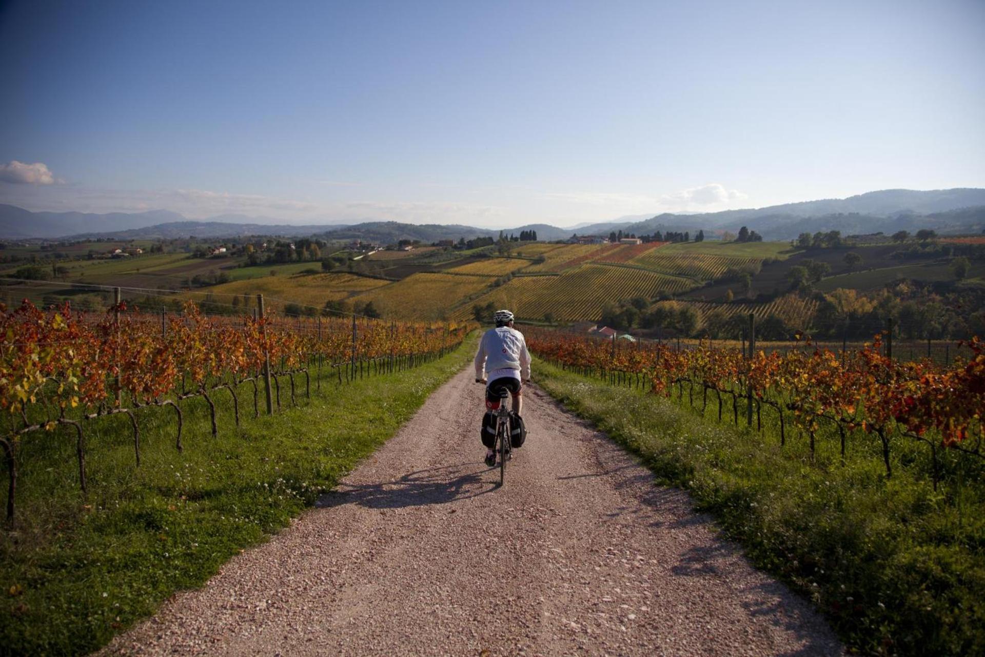 Agriturismo Bio Tra Cielo E Terra Apartment Grutti ภายนอก รูปภาพ