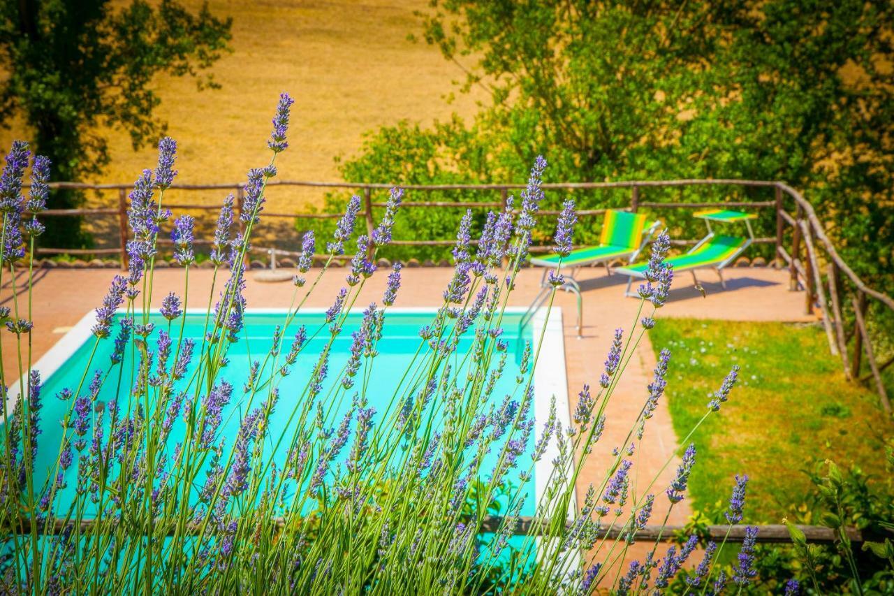 Agriturismo Bio Tra Cielo E Terra Apartment Grutti ภายนอก รูปภาพ
