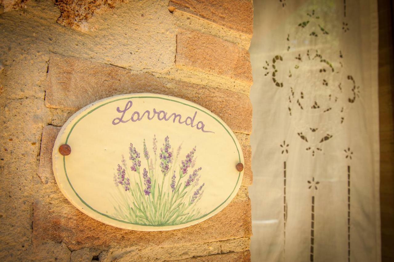 Agriturismo Bio Tra Cielo E Terra Apartment Grutti ภายนอก รูปภาพ