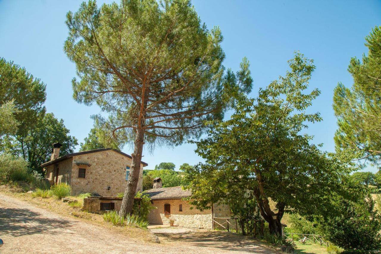 Agriturismo Bio Tra Cielo E Terra Apartment Grutti ภายนอก รูปภาพ