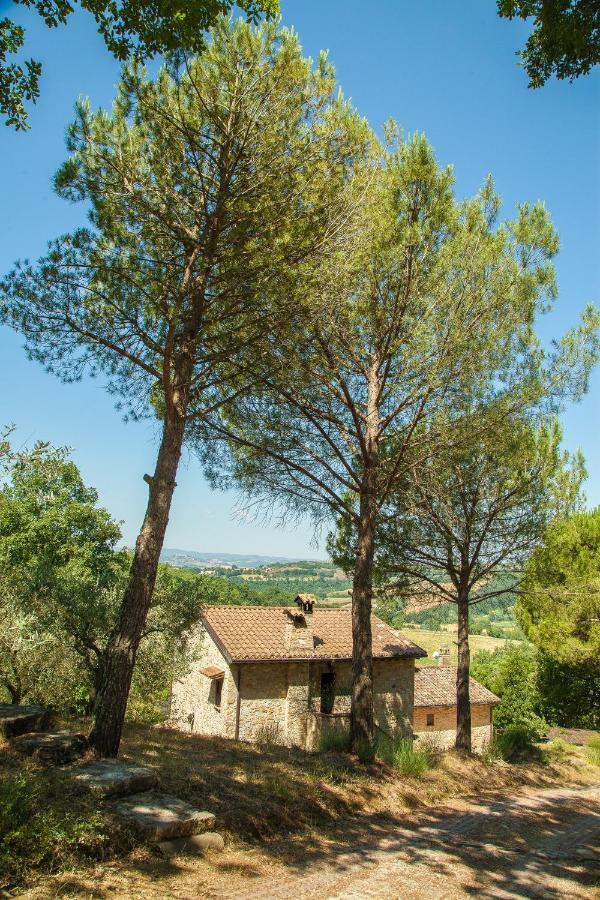 Agriturismo Bio Tra Cielo E Terra Apartment Grutti ภายนอก รูปภาพ