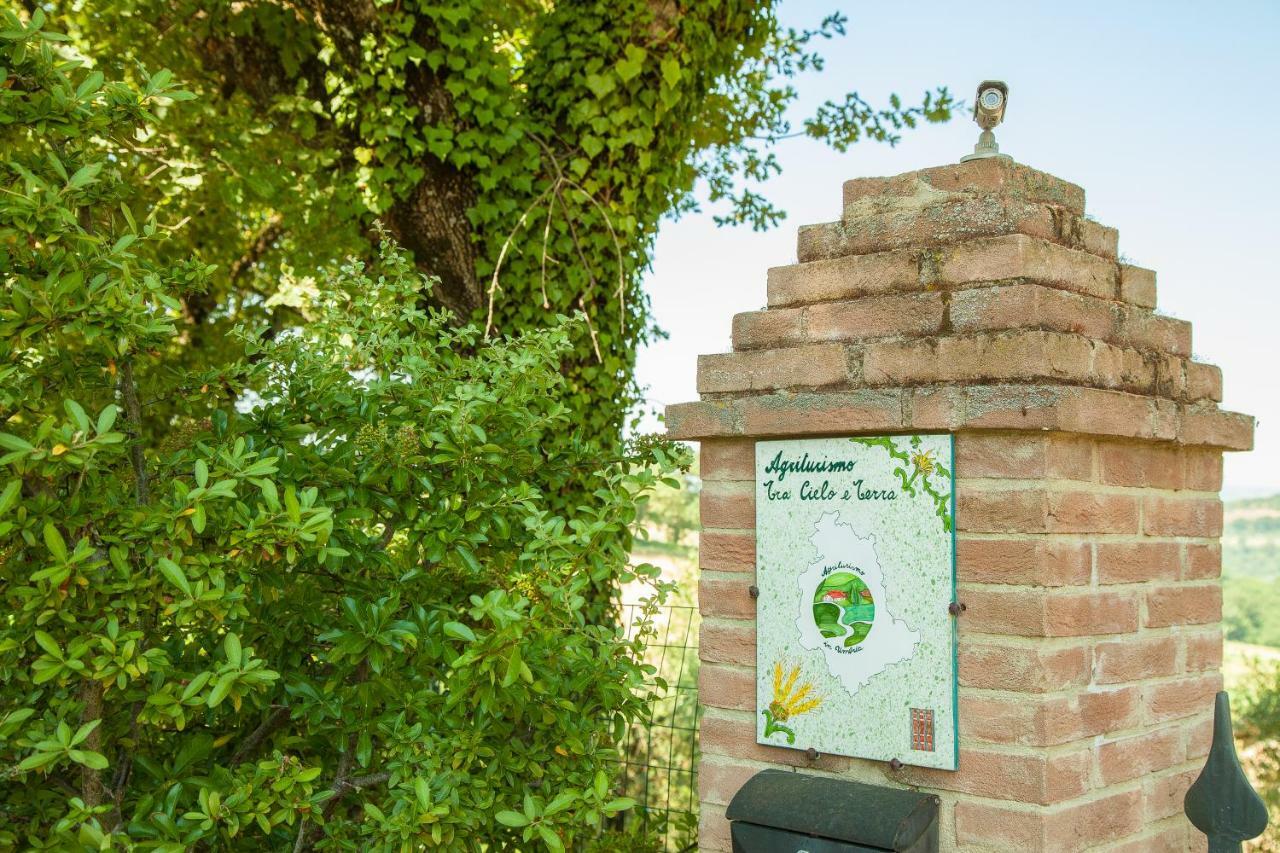 Agriturismo Bio Tra Cielo E Terra Apartment Grutti ภายนอก รูปภาพ